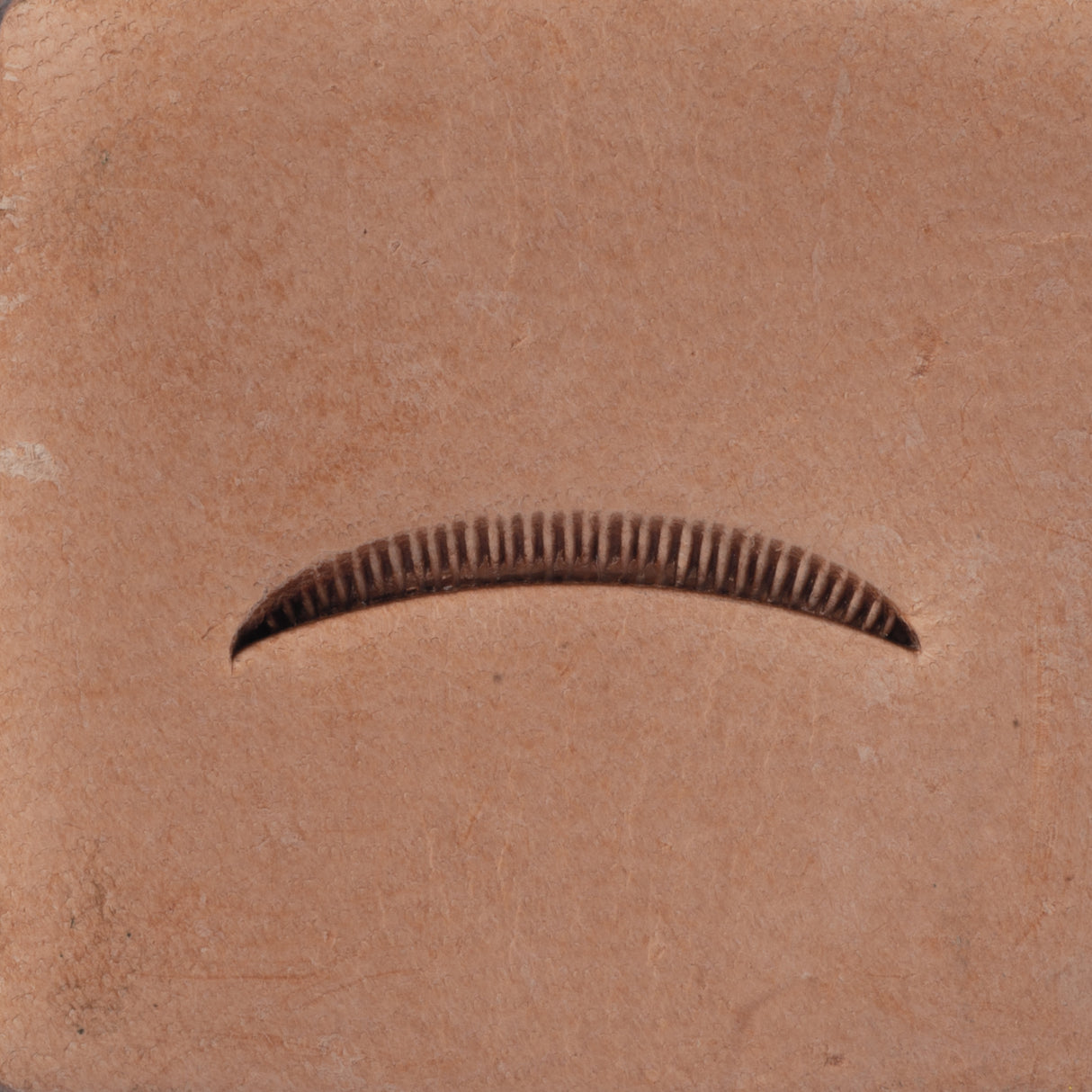 Veiner Lined Stamping Tool