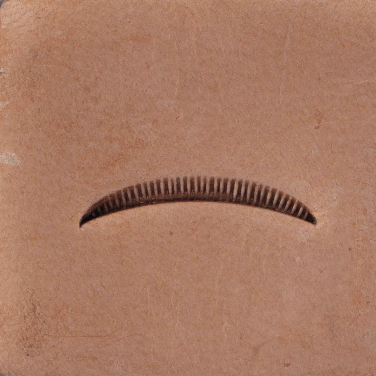 Veiner Lined Stamping Tool