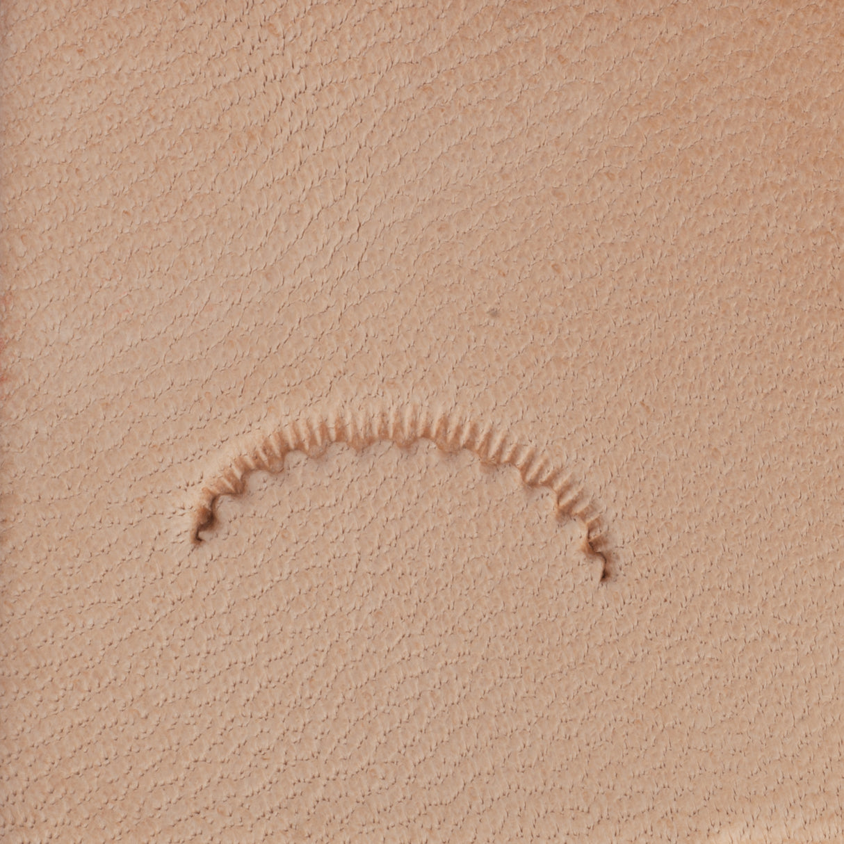 Veiner Scalloped Stamping Tool