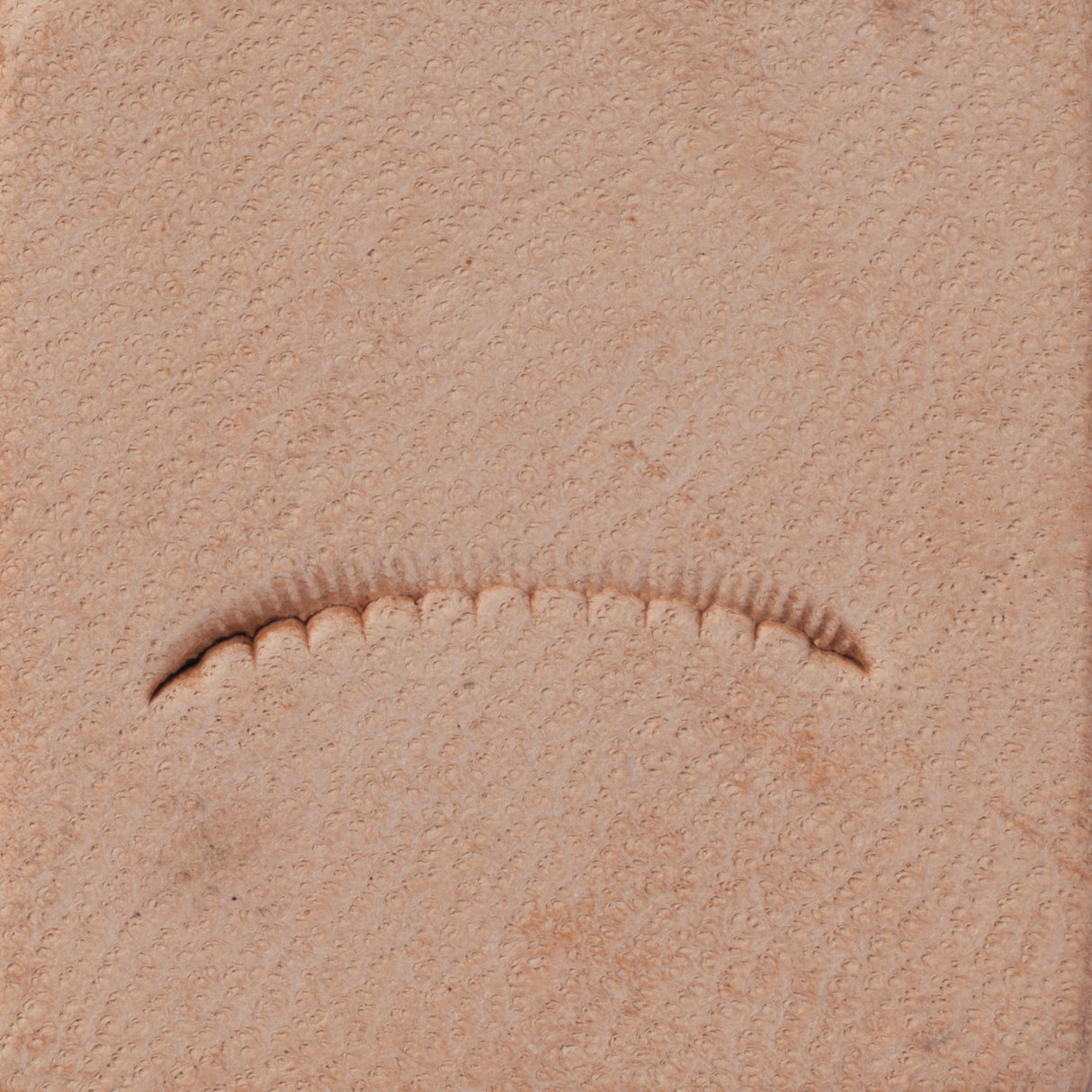 Veiner Scalloped Stamping Tool