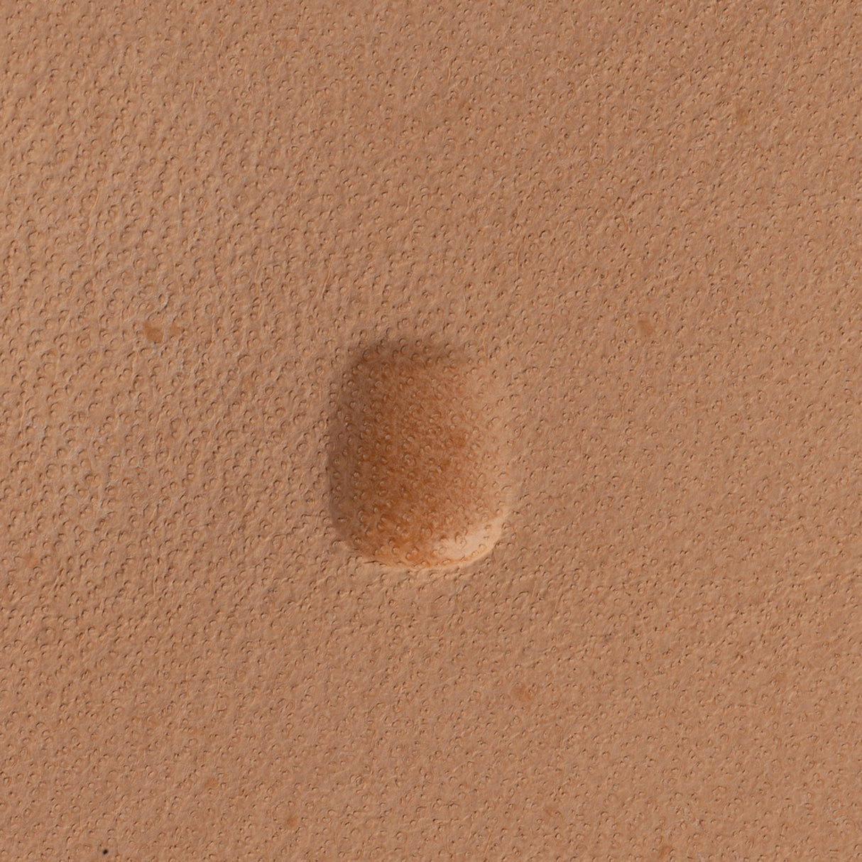 Beveler Stamping Tool, Smooth