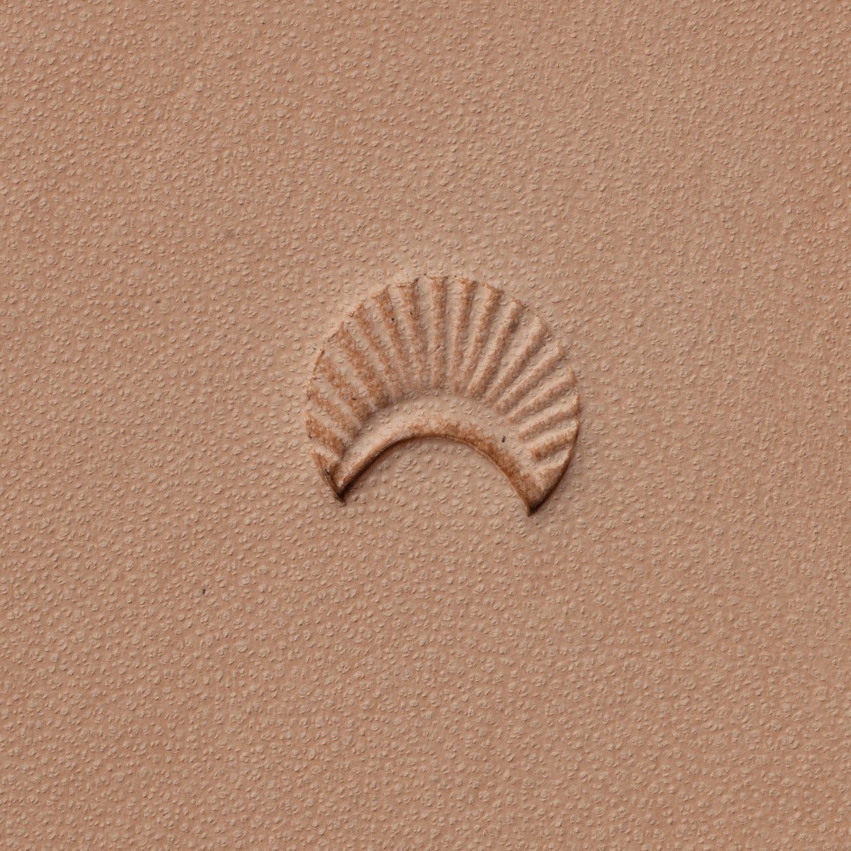 Shell Border Stamping Tool