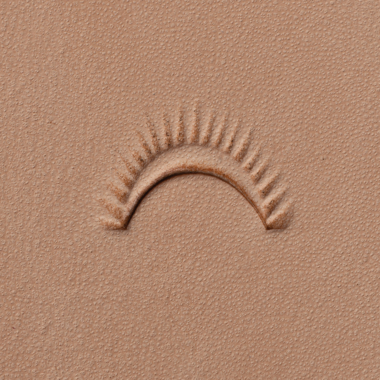 Shell Border Stamping Tool