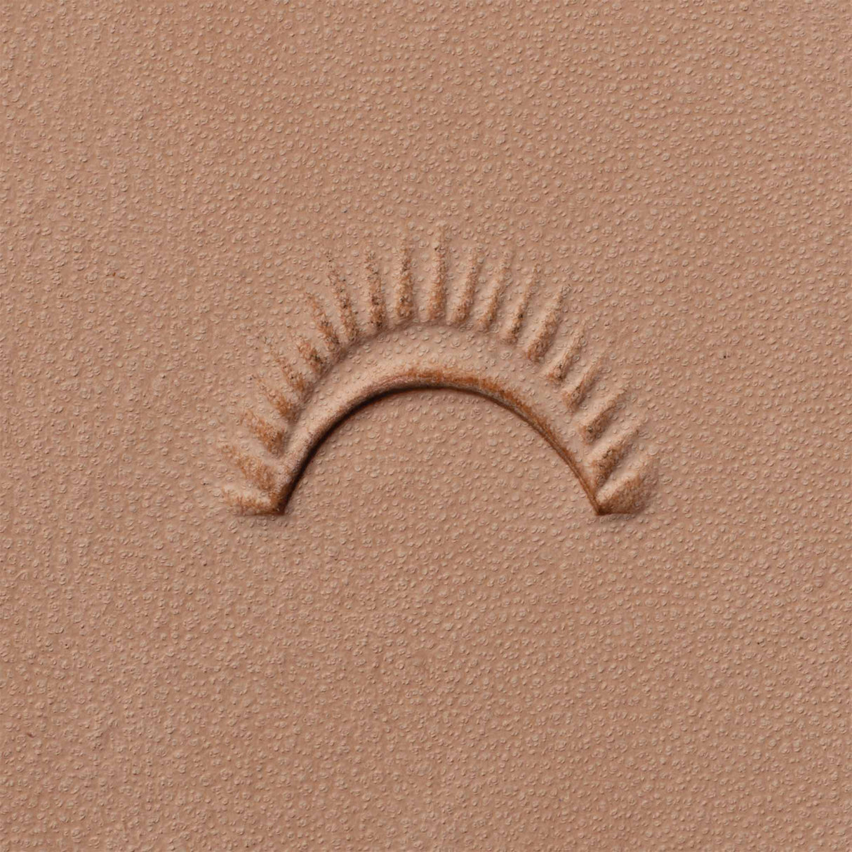 Shell Border Stamping Tool