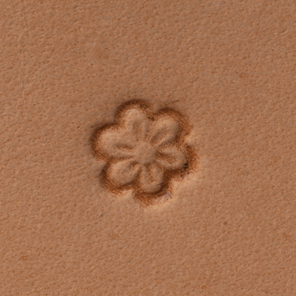 Border Stamping Tool, D617