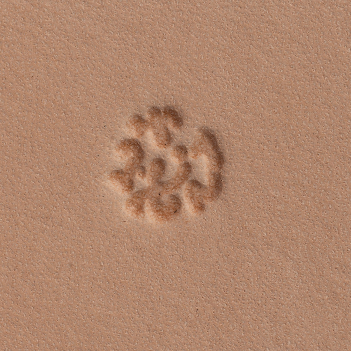 Camoflauge Background Stamping Tool