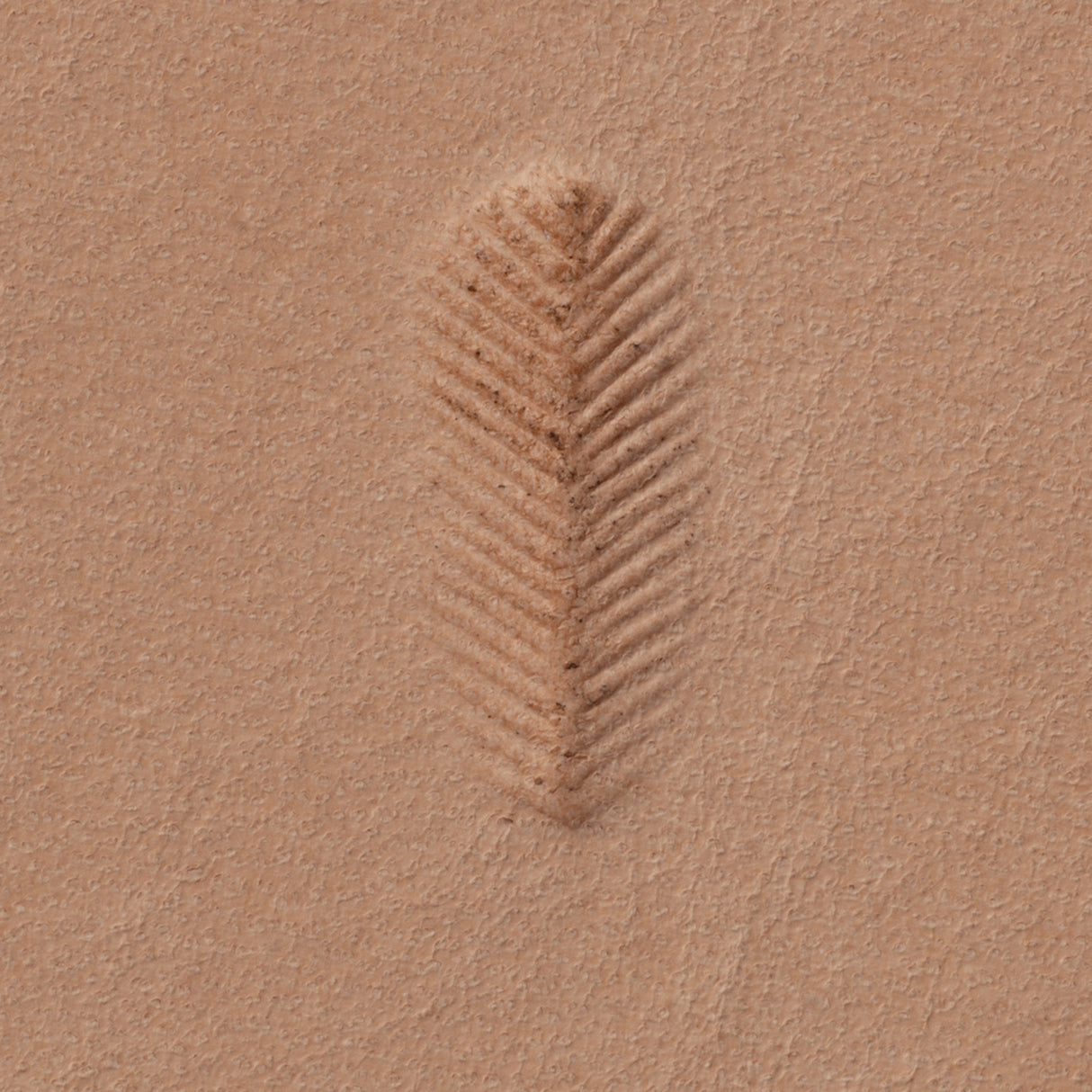 Figure Carving Stamping Tool, F119