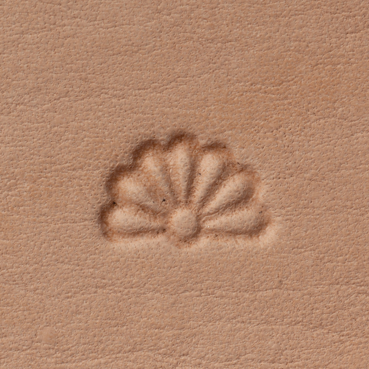 Geometric Stamping Tool, G603