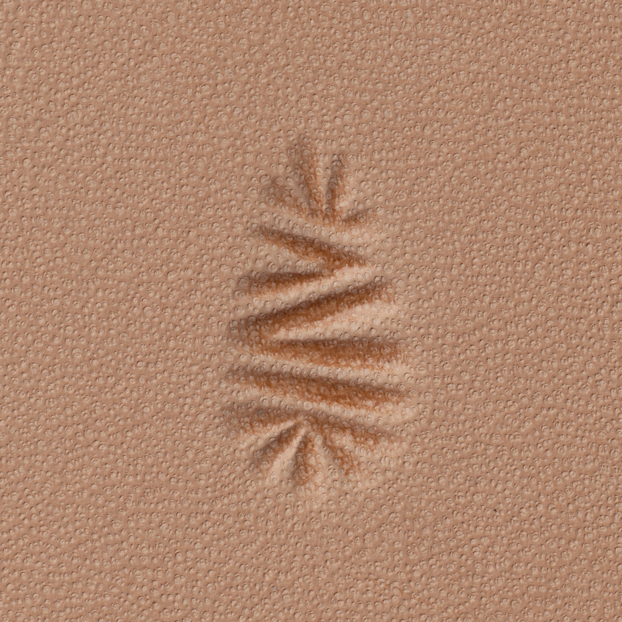 Lined Background Stamping Tool