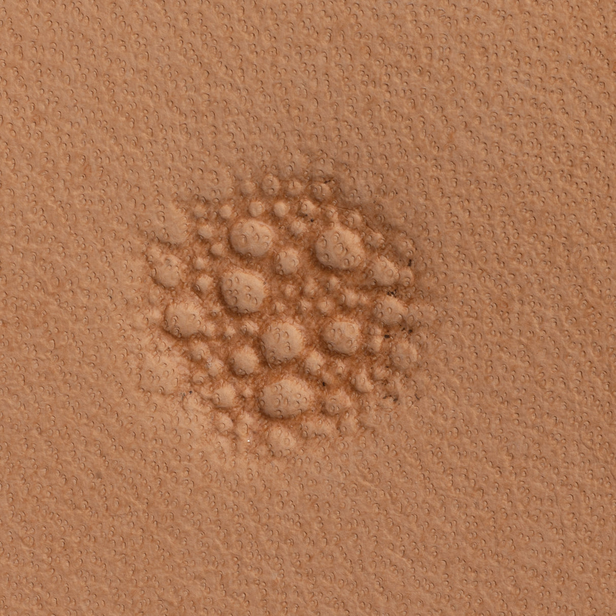 Pebble Background Stamping Tool