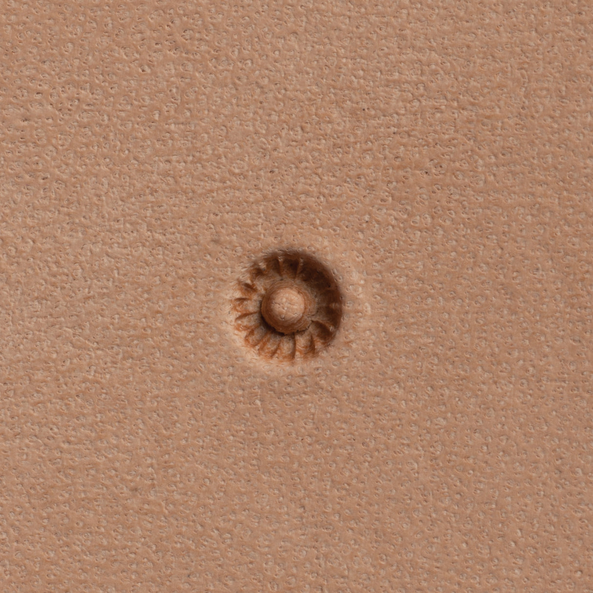 Floral Seeder Stamping Tool