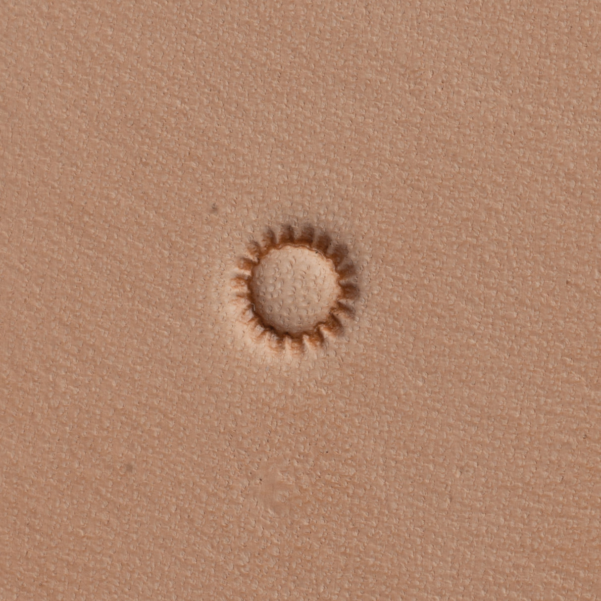 Floral Seeder Stamping Tool