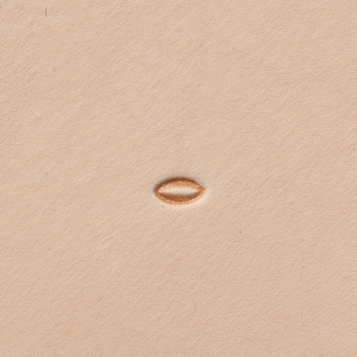 Oblong Seeder Stamping Tool