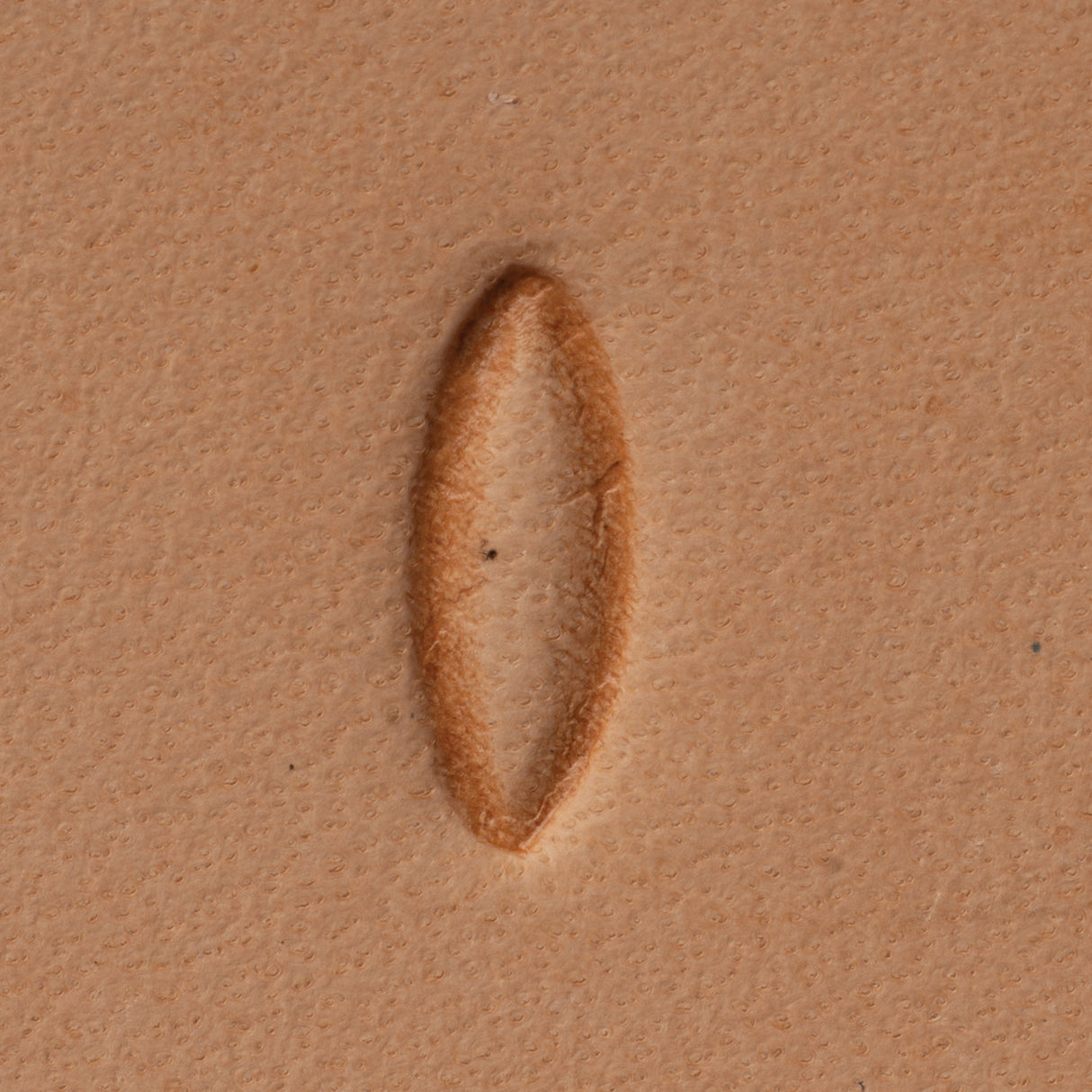 Oblong Seeder Stamping Tool