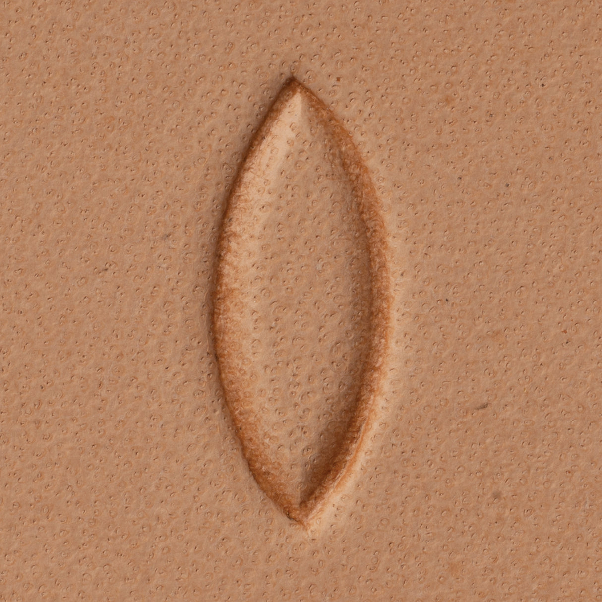 Oblong Seeder Stamping Tool