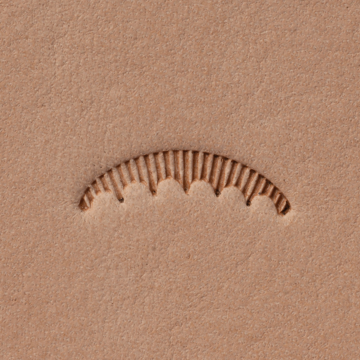 Veiner Stamping Tool