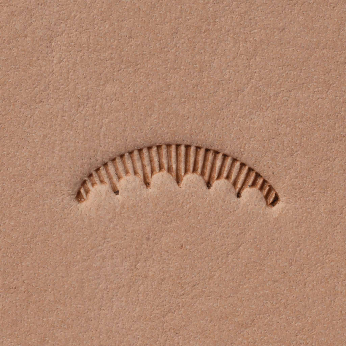 Veiner Stamping Tool