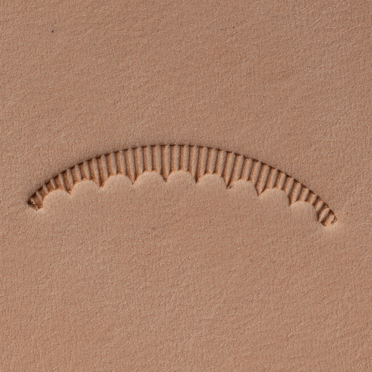 Veiner Stamping Tool