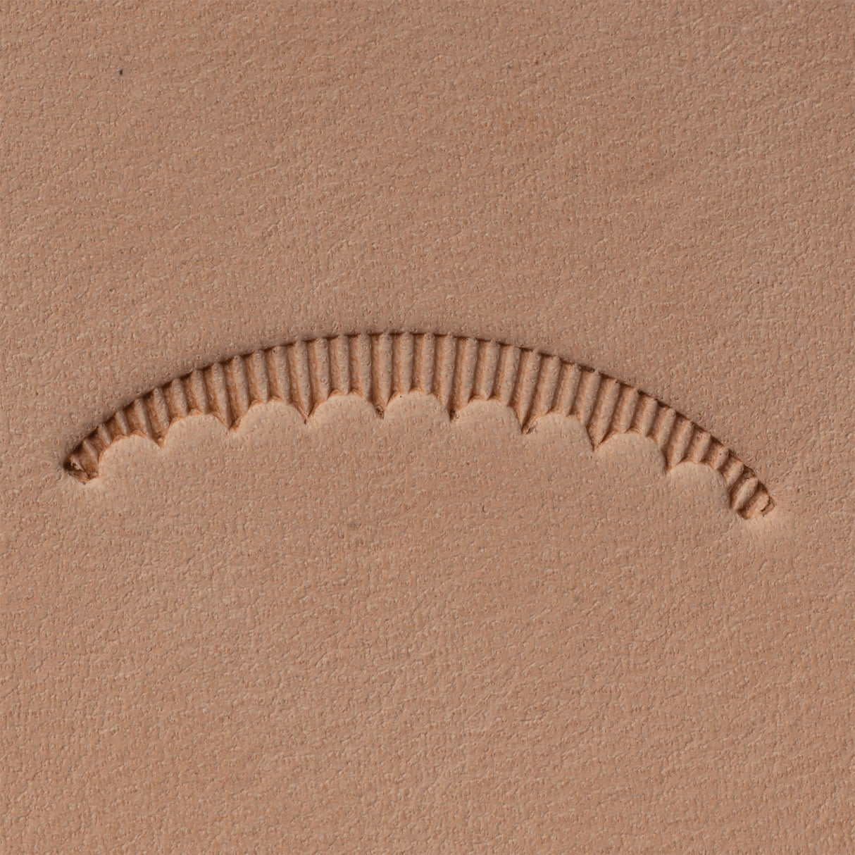 Veiner Stamping Tool