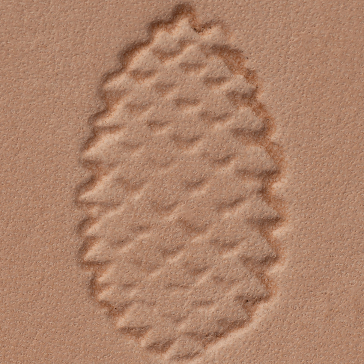 Pine Cone Stamping Tool, W568