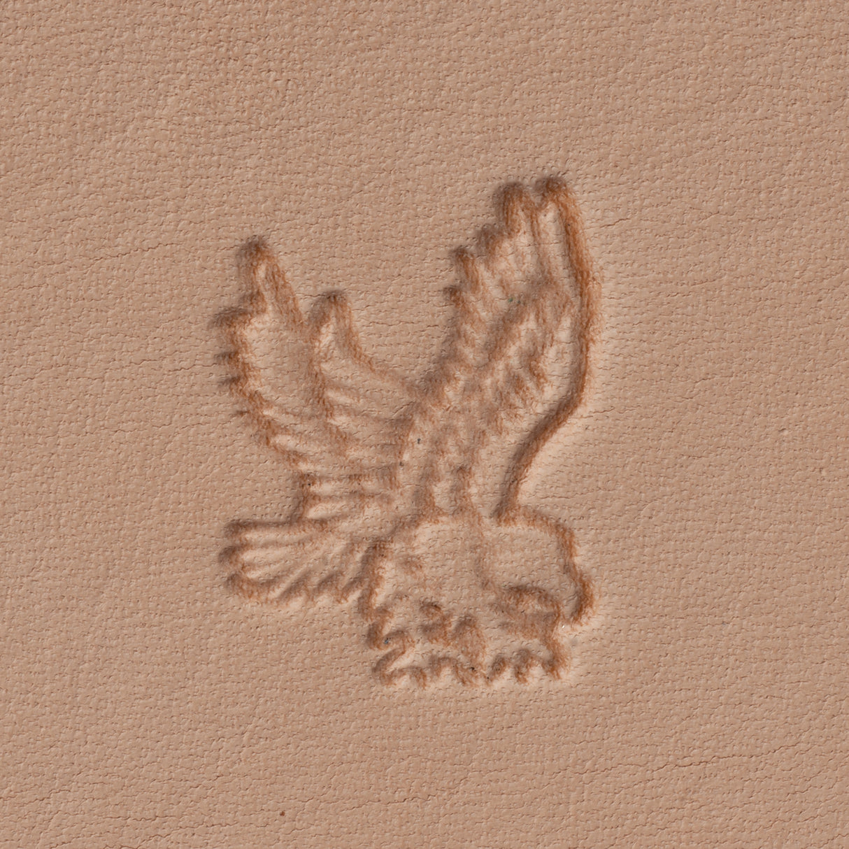 Flying Eagle Stamping Tool, Z727