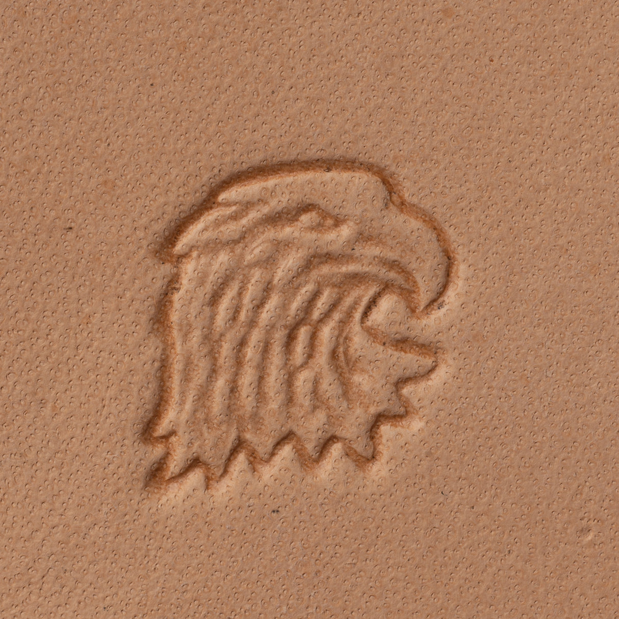 Eagle Head Stamping Tool, Z728