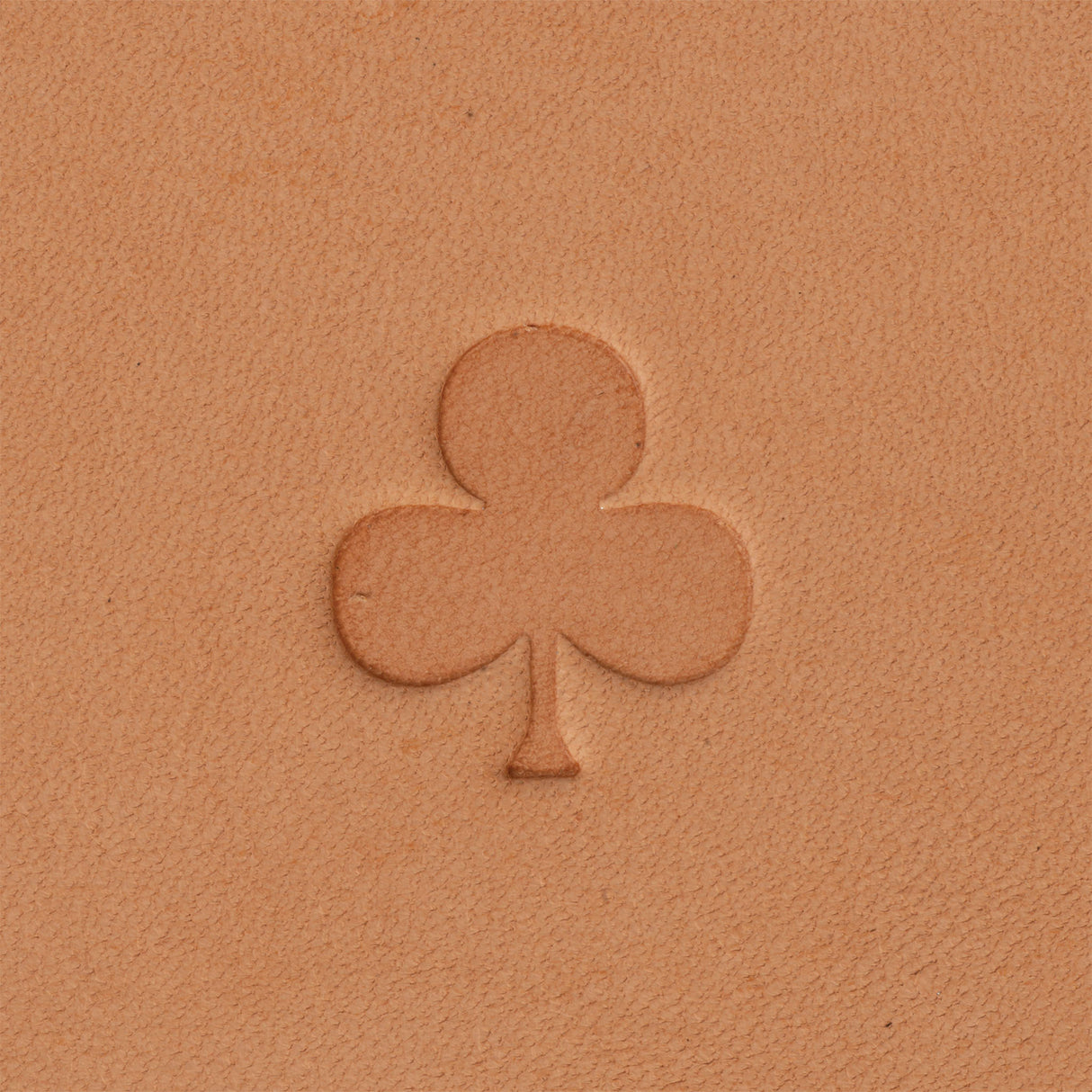 Club Mini 2D Stamping Tool