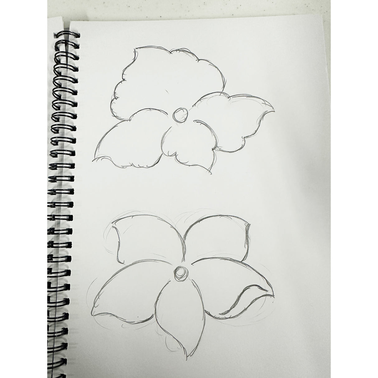 Drawing & Tooling Flowers with Joe Meling Class, 03/25/26