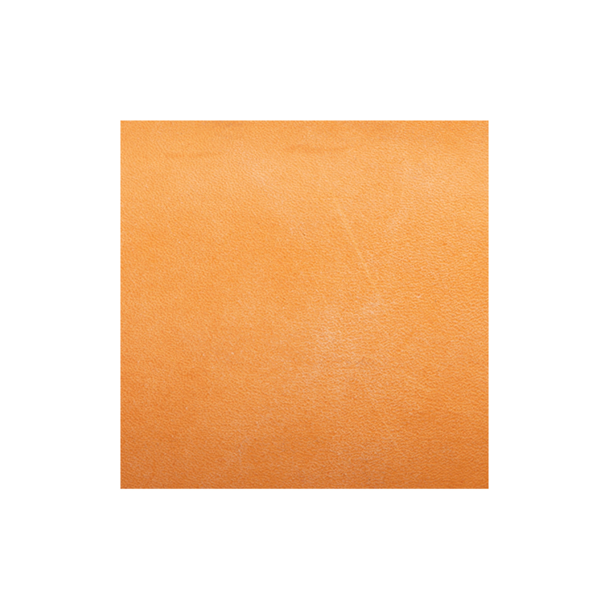 Sample, Hermann Oak® Bridle Side Golden