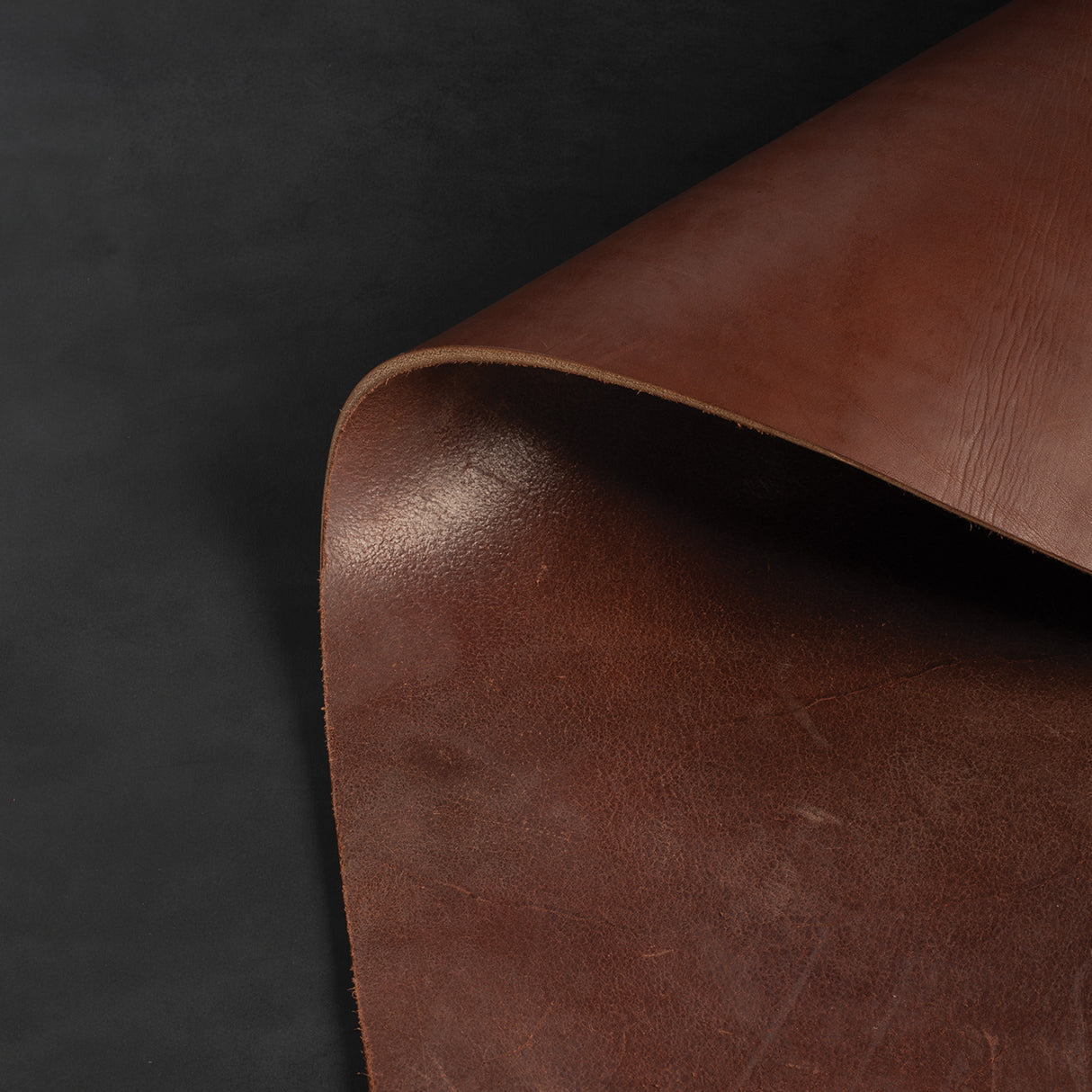 CHAHINLEATHER® English Bridle Leather, Single Shoulder, 12/13 oz.