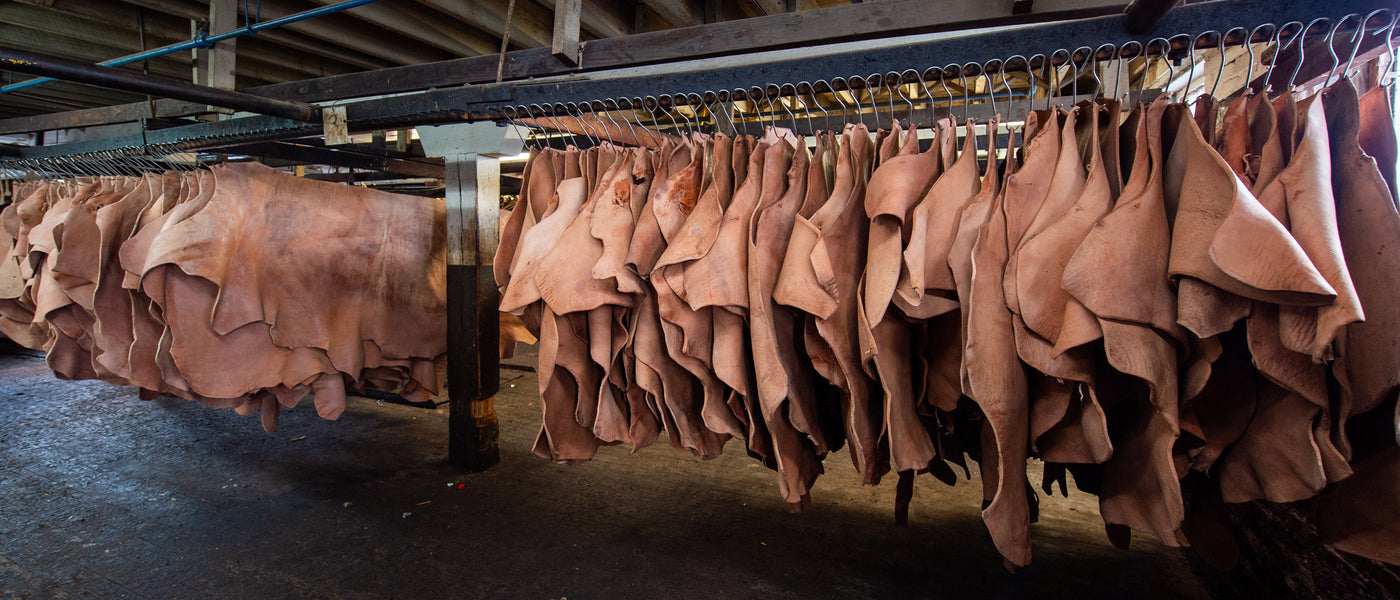 Vegetable-tanned leather hides hanging on metal racks inside a tannery to dry and cure.