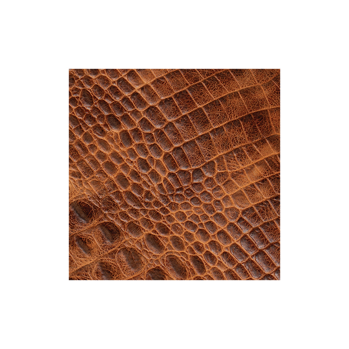 Sample, Embossed Leather, 2-3 oz., Croc