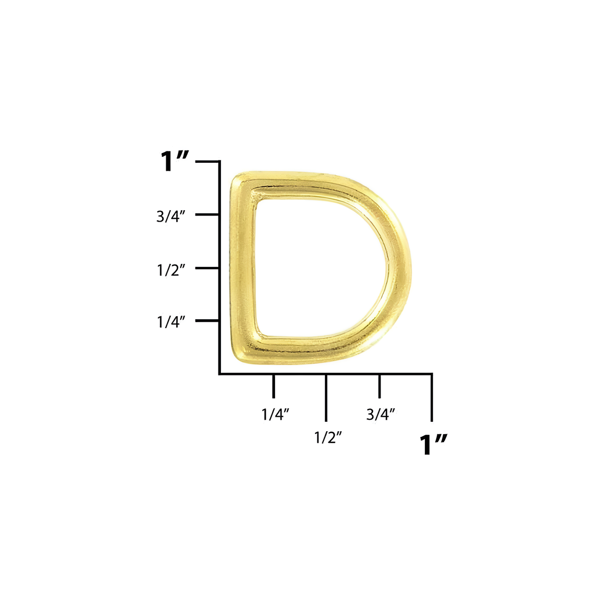5/8" Brass, Cast D-Ring, Solid Brass