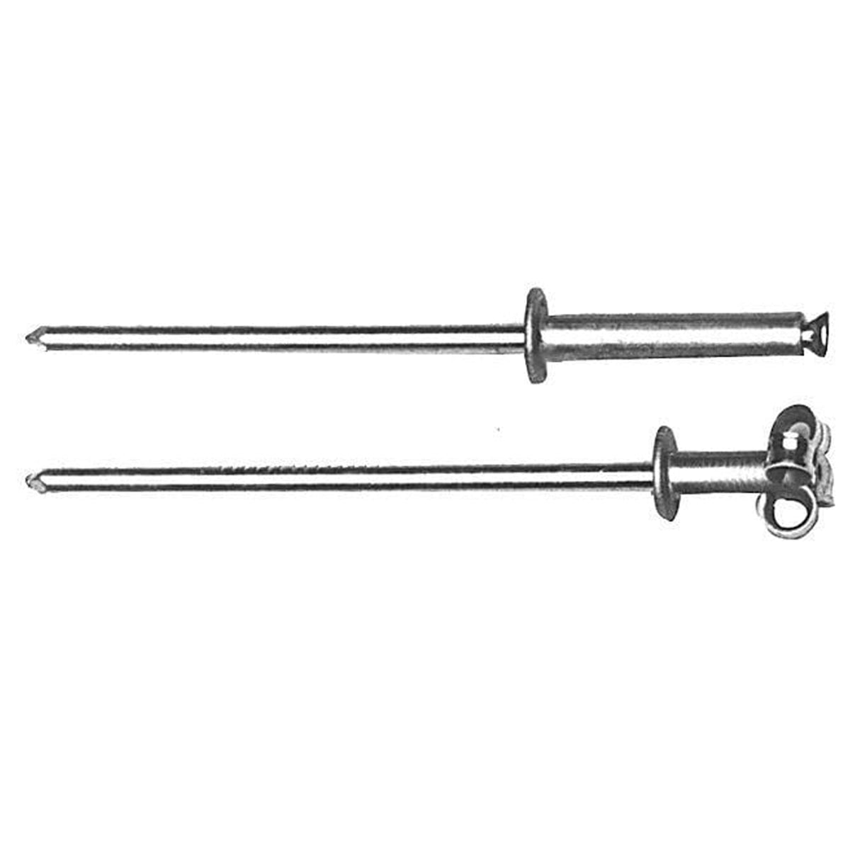 1/2" Nickel, Pop Rivet, Steel - 12 pk