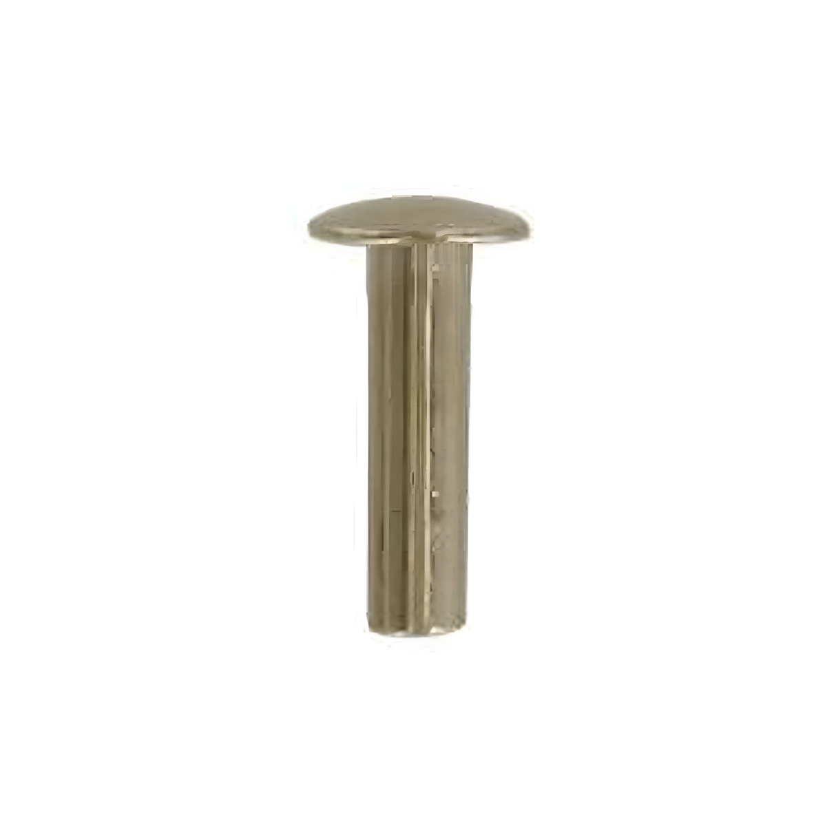 10/16" Brass, 5/16" Head Diameter Tubular Rivet, Steel, 24-pack