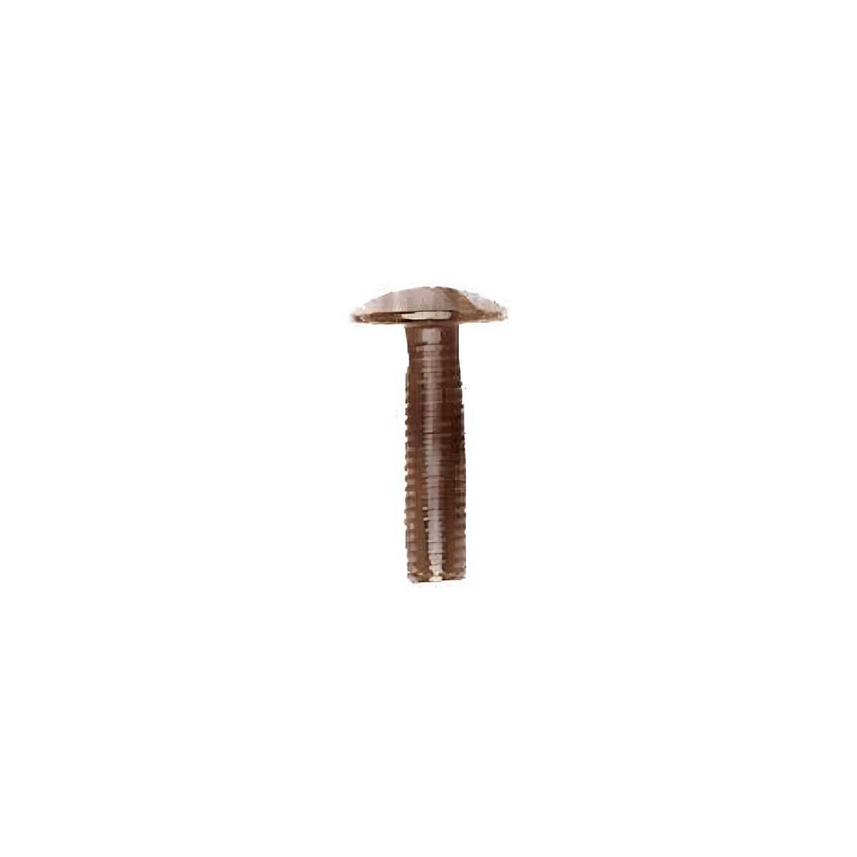 12mm Antique Brass, Handbag Hardware Screw, Steel-PK10