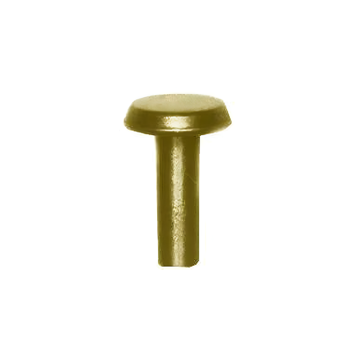 8/16" Brass, 6/16" Head Diameter Tubular Rivet, Steel - 12 pk