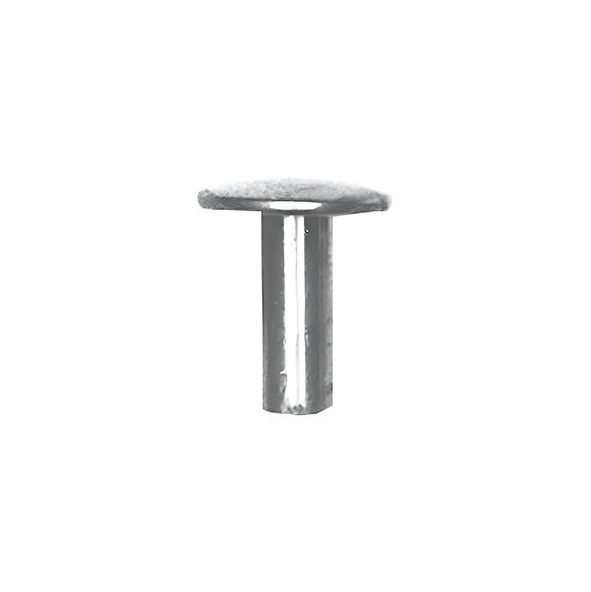 8/16" Brass, 15/32" Head Diameter Tubular Rivet, Steel - 12 pk