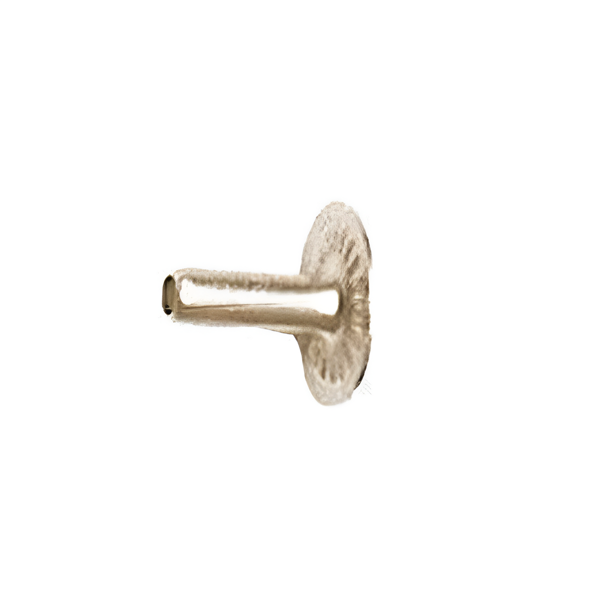 Size 22 Brass, Segma Post, Solid Brass