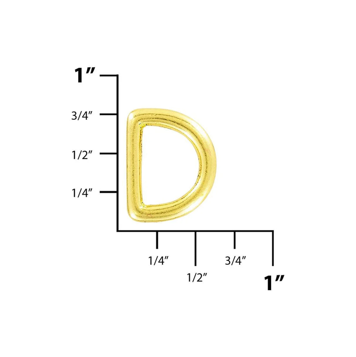 1/2" Shiny Brass, Cast D Ring, Solid Brass