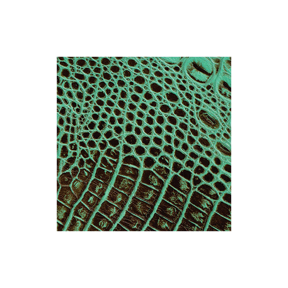 Sample, Embossed Leather, 2-3 oz., Croc