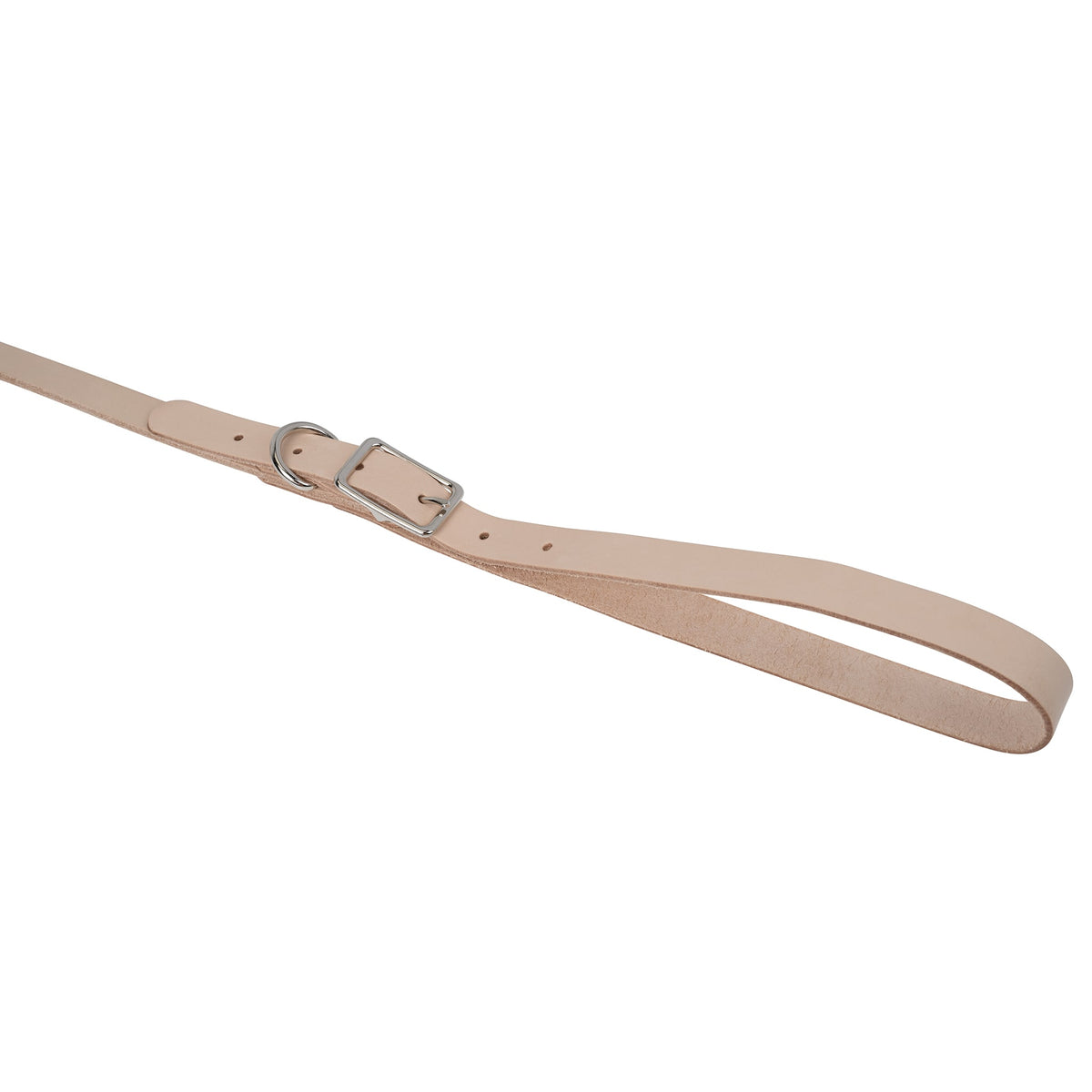 Leather Pet Leash Kit