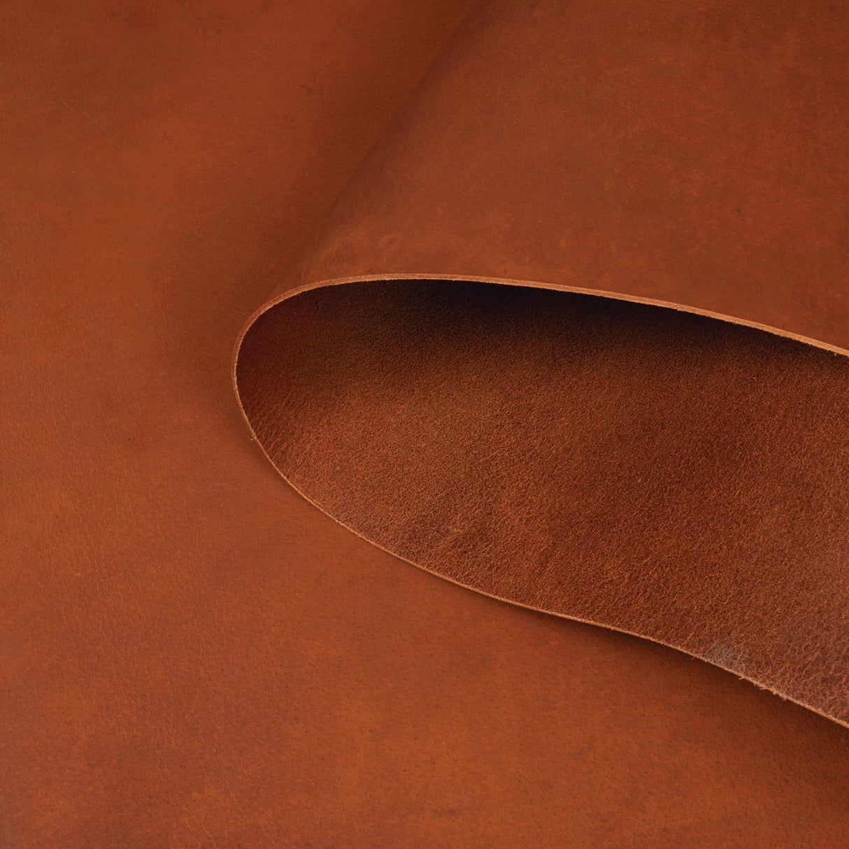 Sample, Water Buffalo Leather, Single Bend