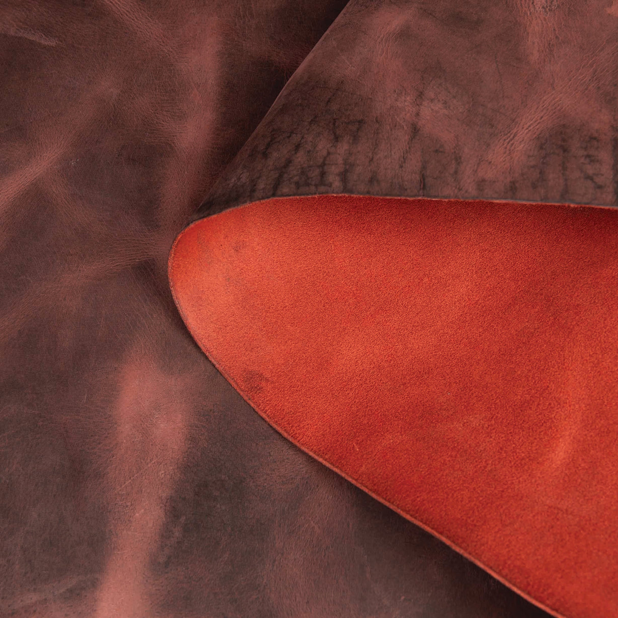 Sample, Water Buffalo Leather, Single Bend