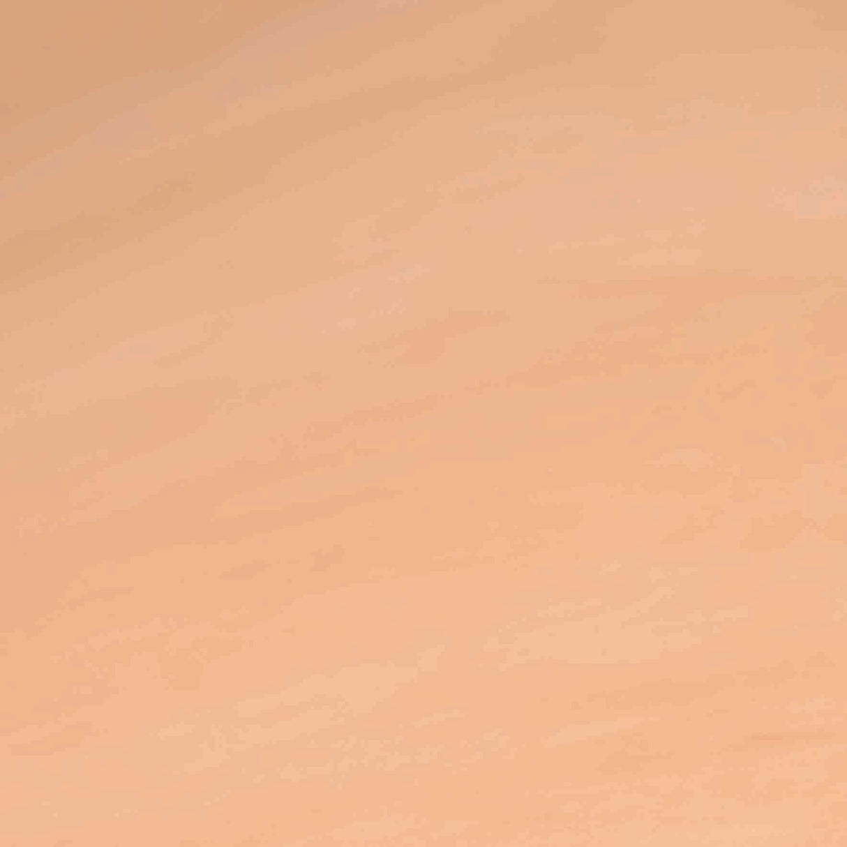 CHAHINLEATHER® Veg-Tan Leather Panel