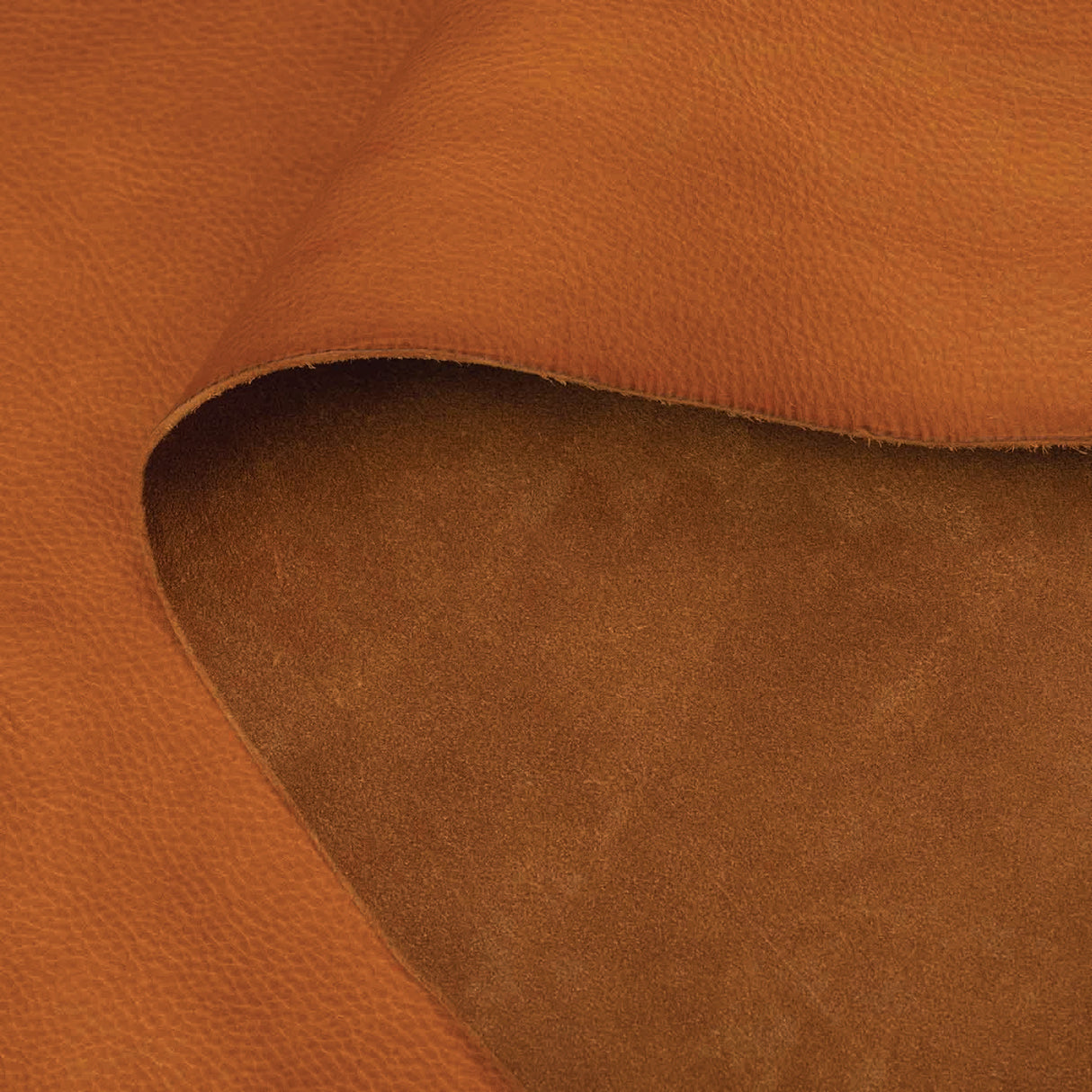 La Bretagna, Arizona Raw Italian Double Shoulders, 4 to 5 oz.