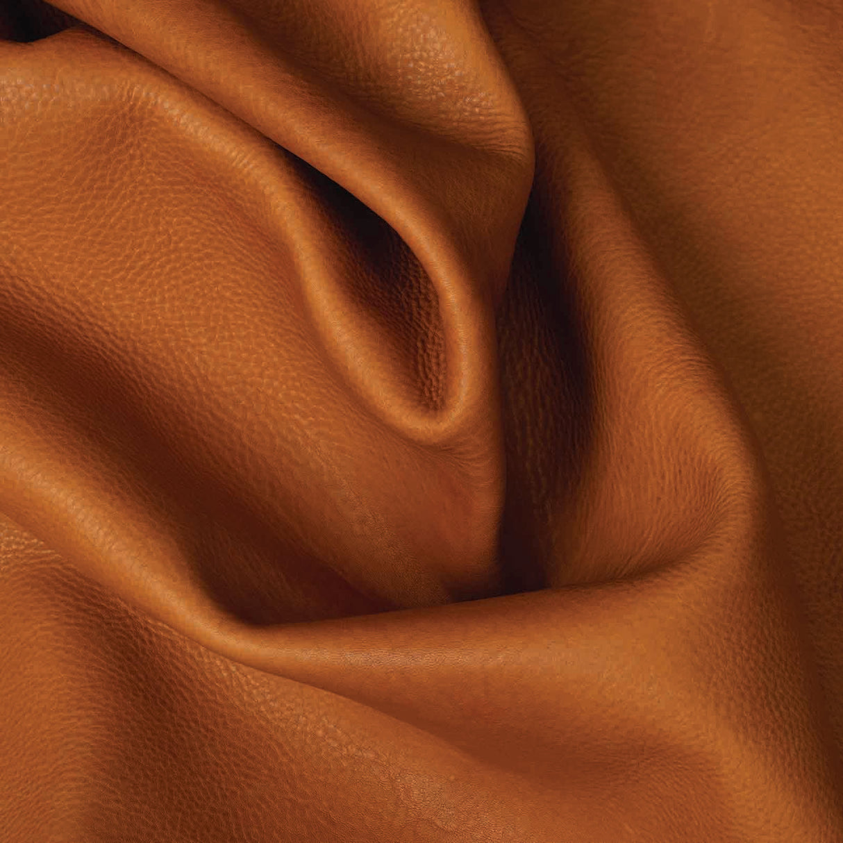 La Bretagna, Arizona Raw Italian Double Shoulders, 4 to 5 oz.