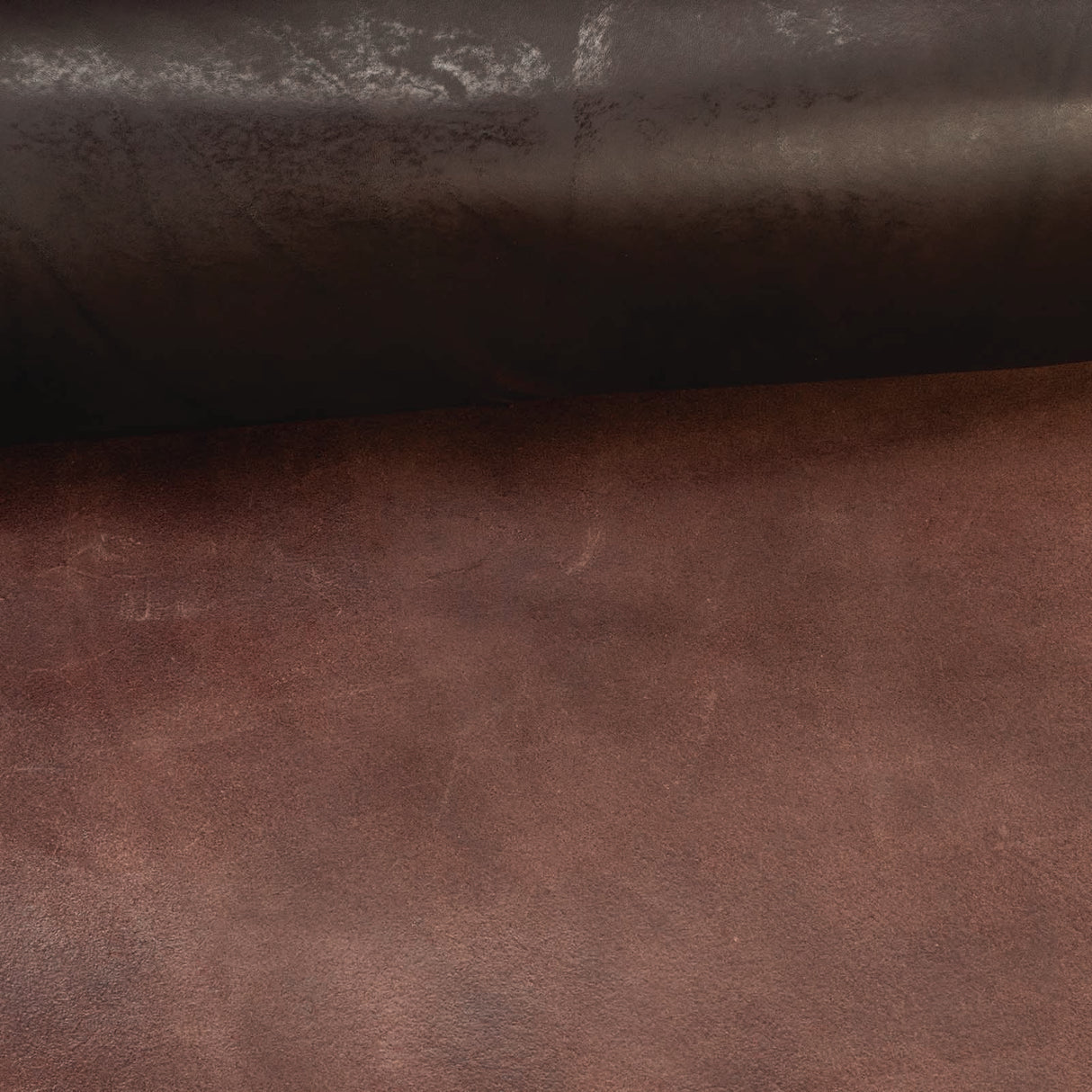 CHAHINLEATHER® English Bridle Leather, Double Shoulders