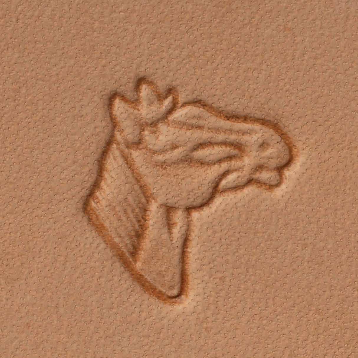 Horse Head Stamping Tool, Z733