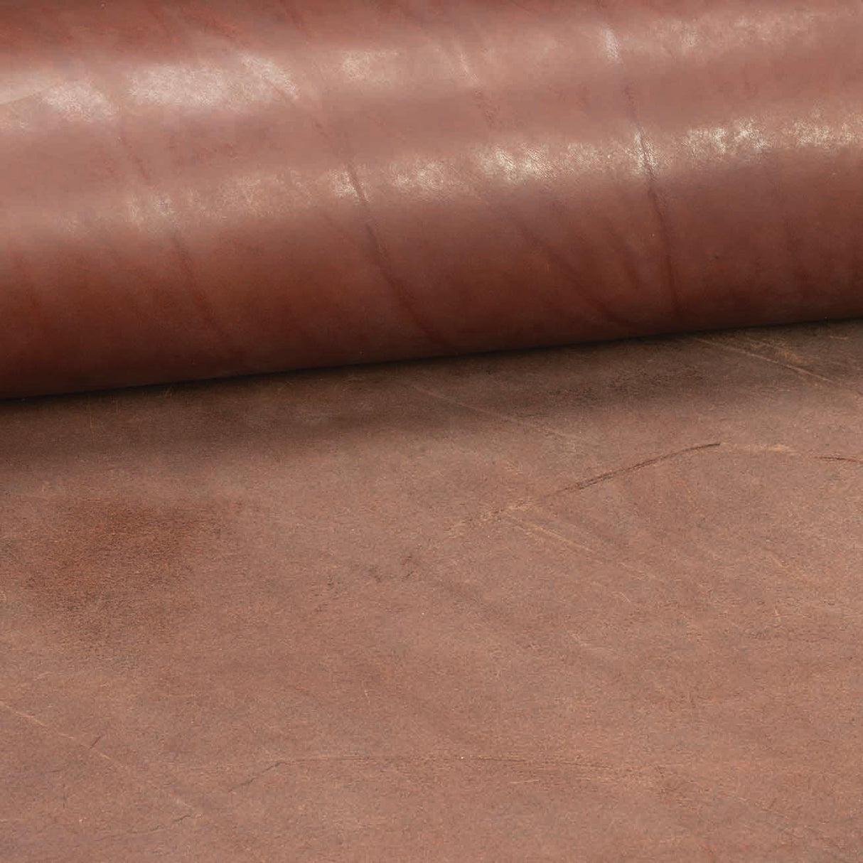 CHAHINLEATHER® English Bridle Leather, Double Shoulders